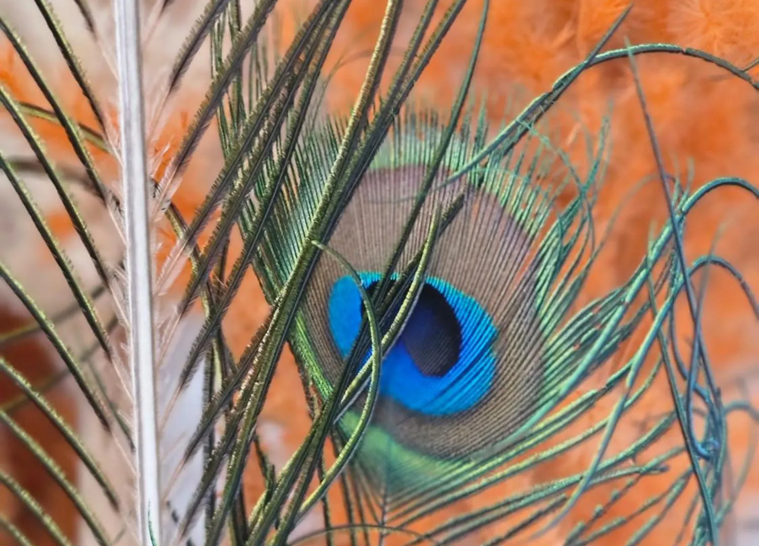 Riad Clefs D'Orient Μαρακές